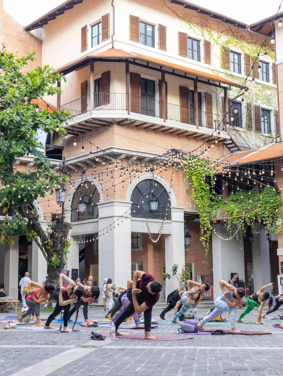 International Yoga Day