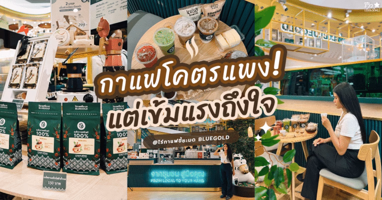 กาแฟขี้ชะมดBluegold