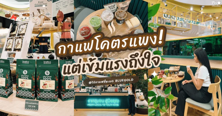 กาแฟขี้ชะมดBluegold
