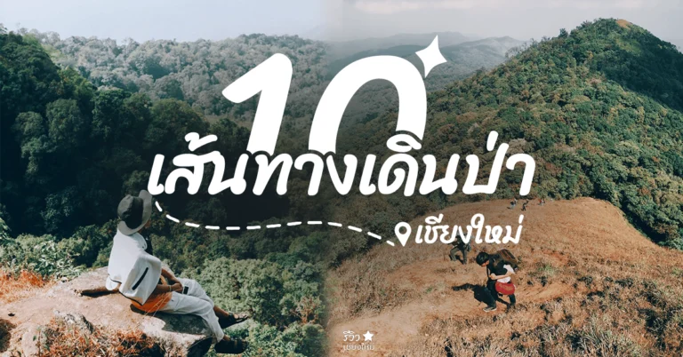 เส้นทางเดินป่า เชียงใหม่