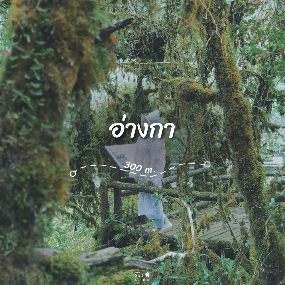 เส้นทางเดินป่า เชียงใหม่