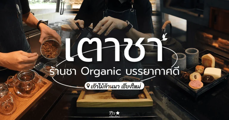 เตาชา