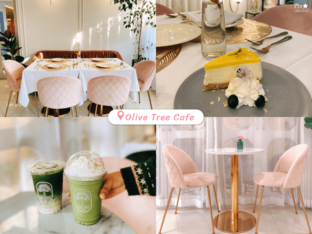 คาเฟ่7วัน7สี