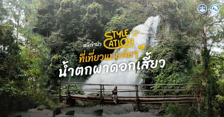 stylecation