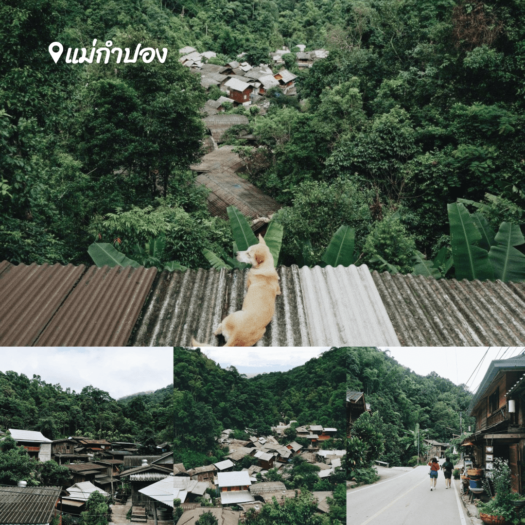 หมู่บ้านกลางป่า เชียงใหม่