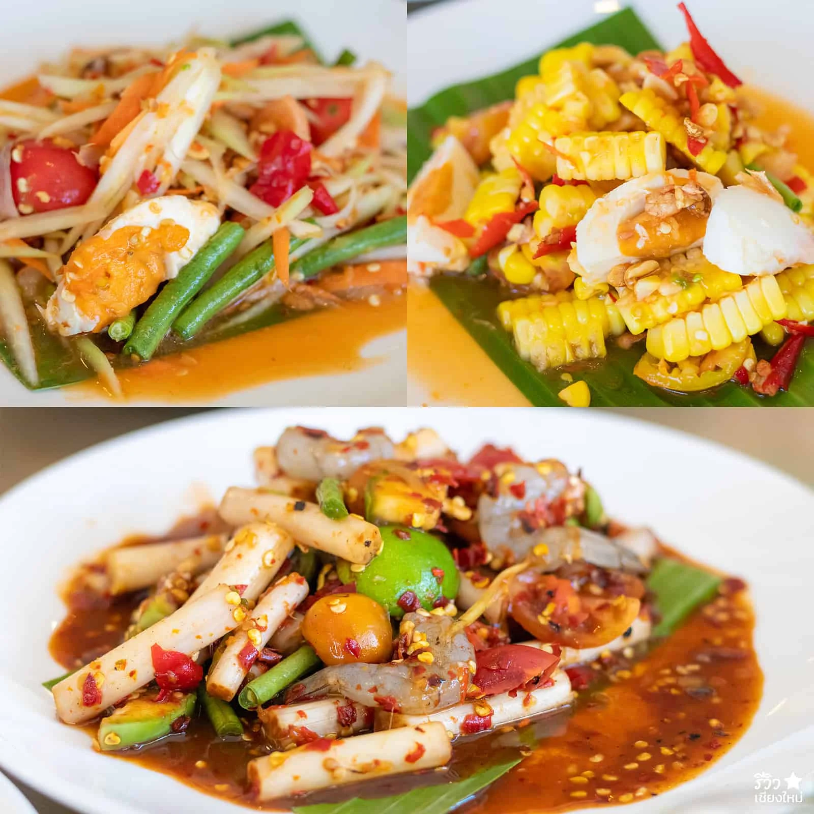 ตำปากเปิด