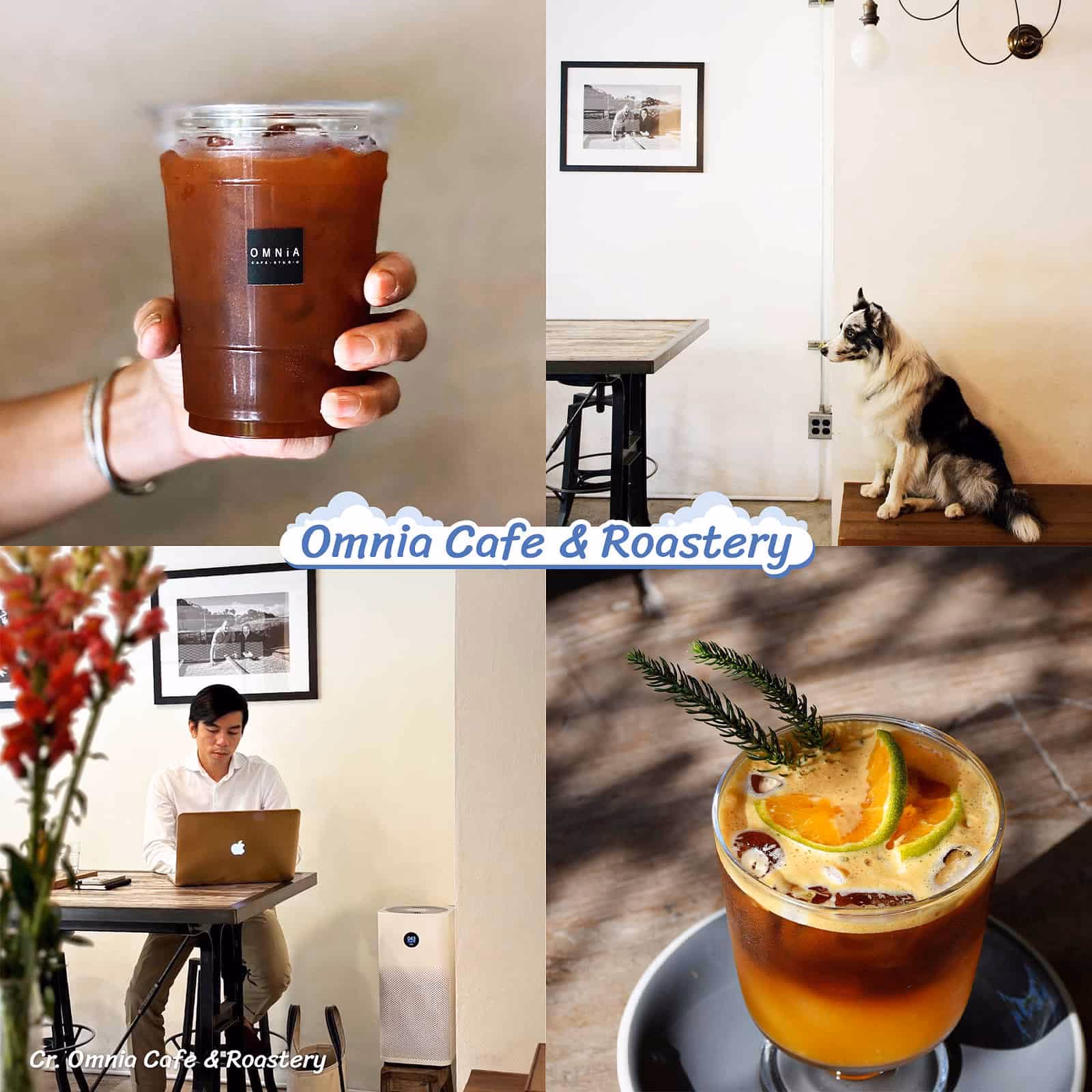รวมคาเฟ่ที่มีเครื่องฟอกอากาศ เชียงใหม่