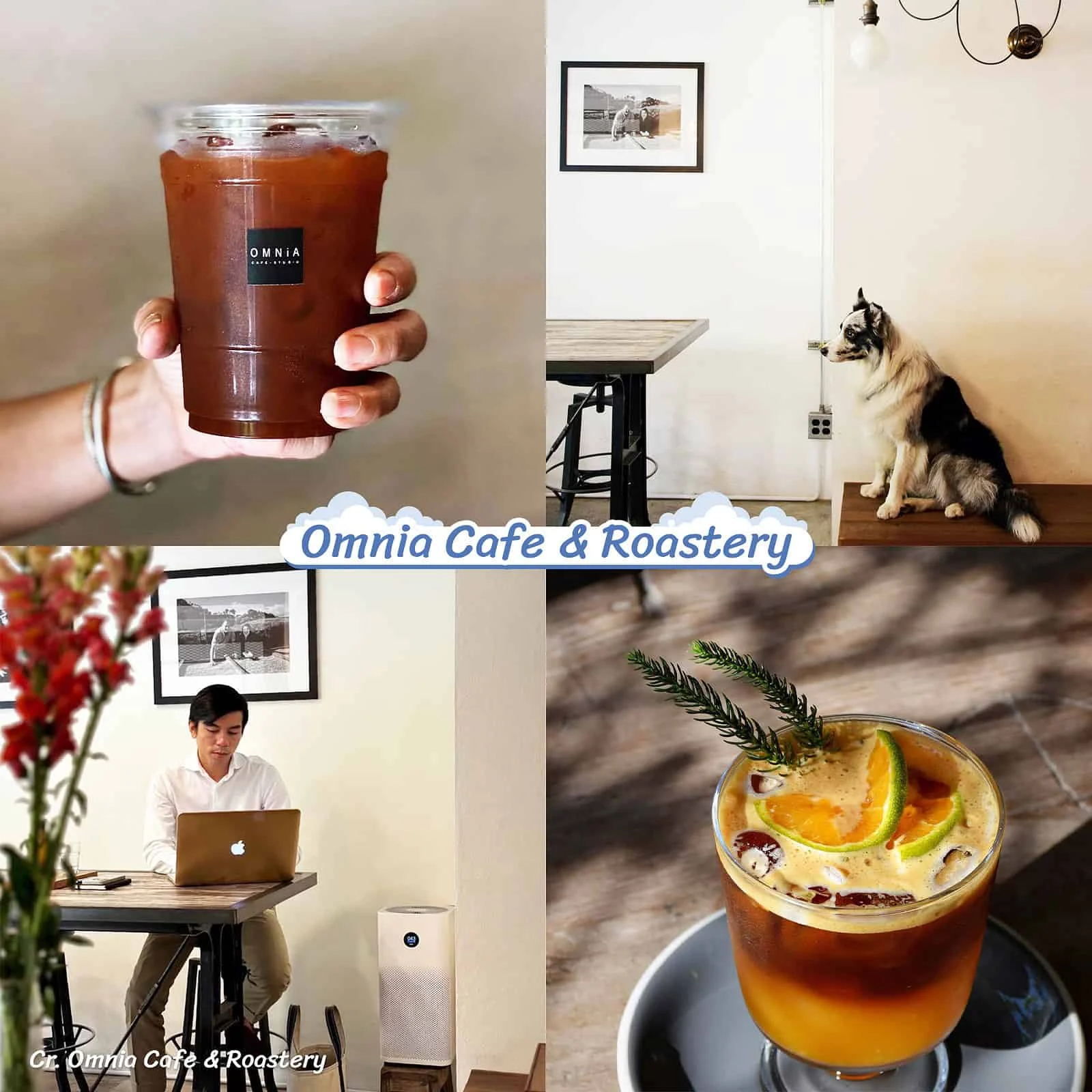 รวมคาเฟ่ที่มีเครื่องฟอกอากาศ เชียงใหม่