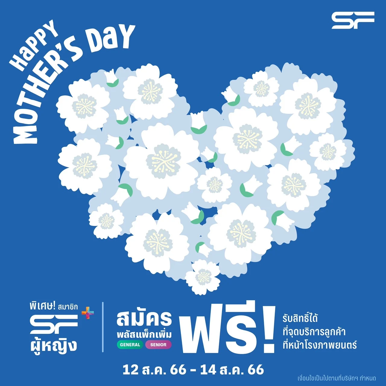 sf เชียงใหม่