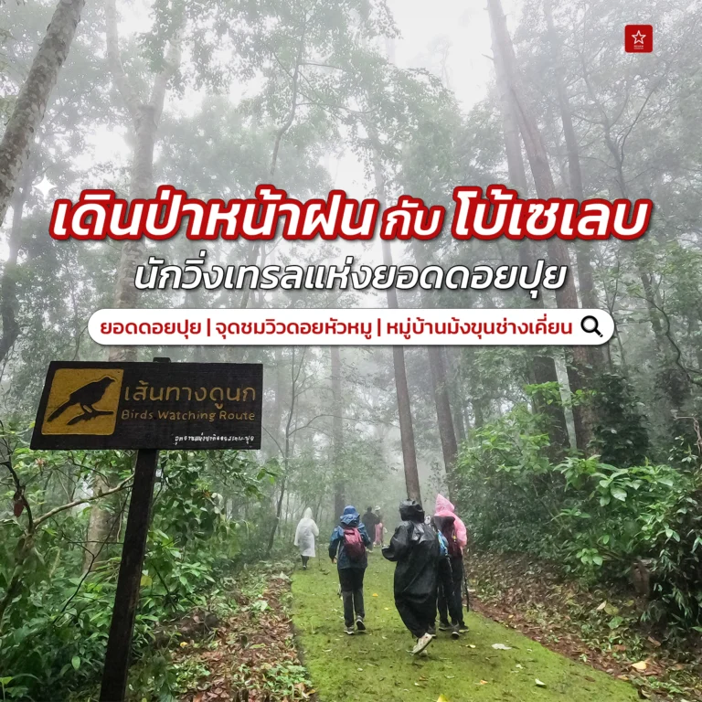 เดินป่าเชียงใหม่