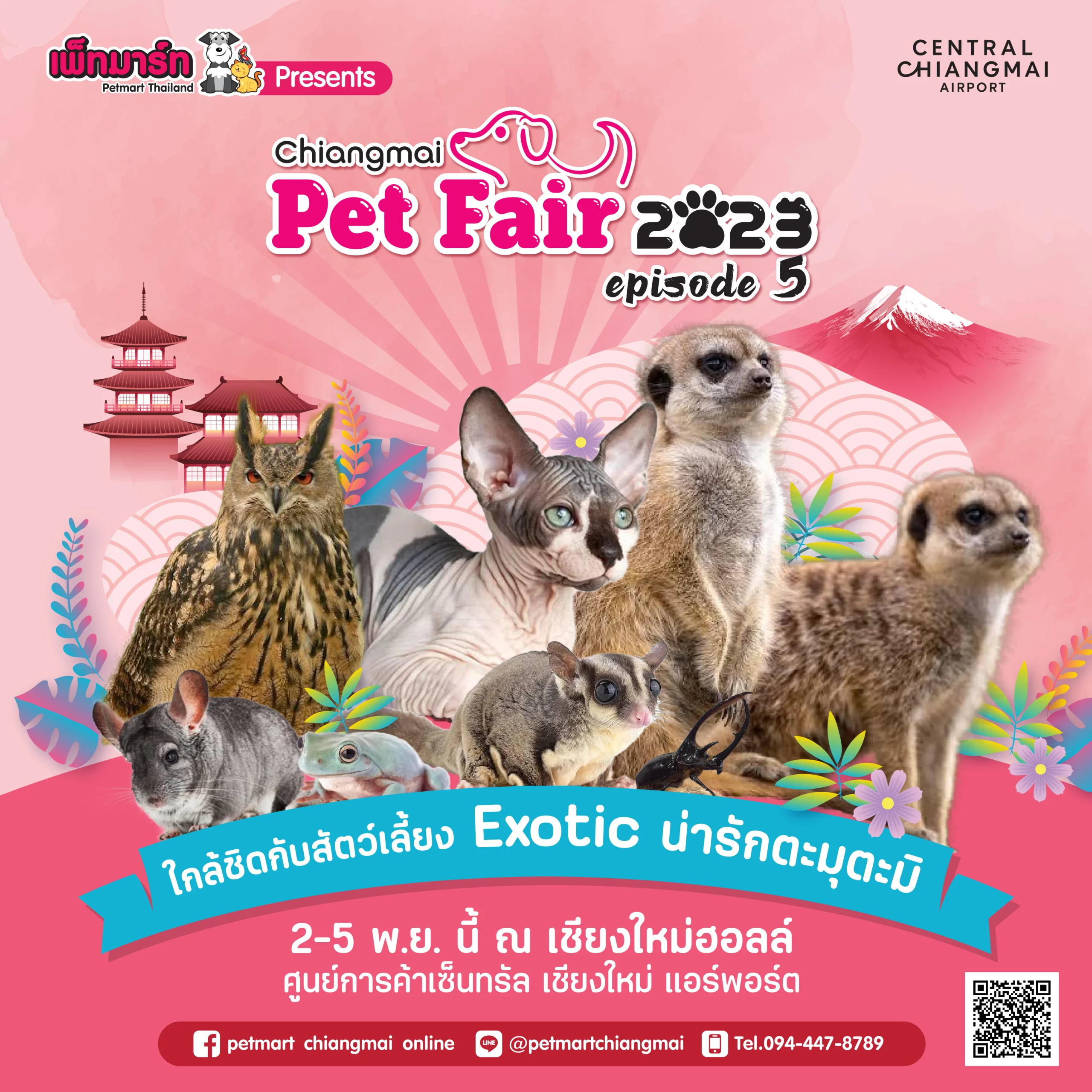 Chiangmai Pet Fair 2023