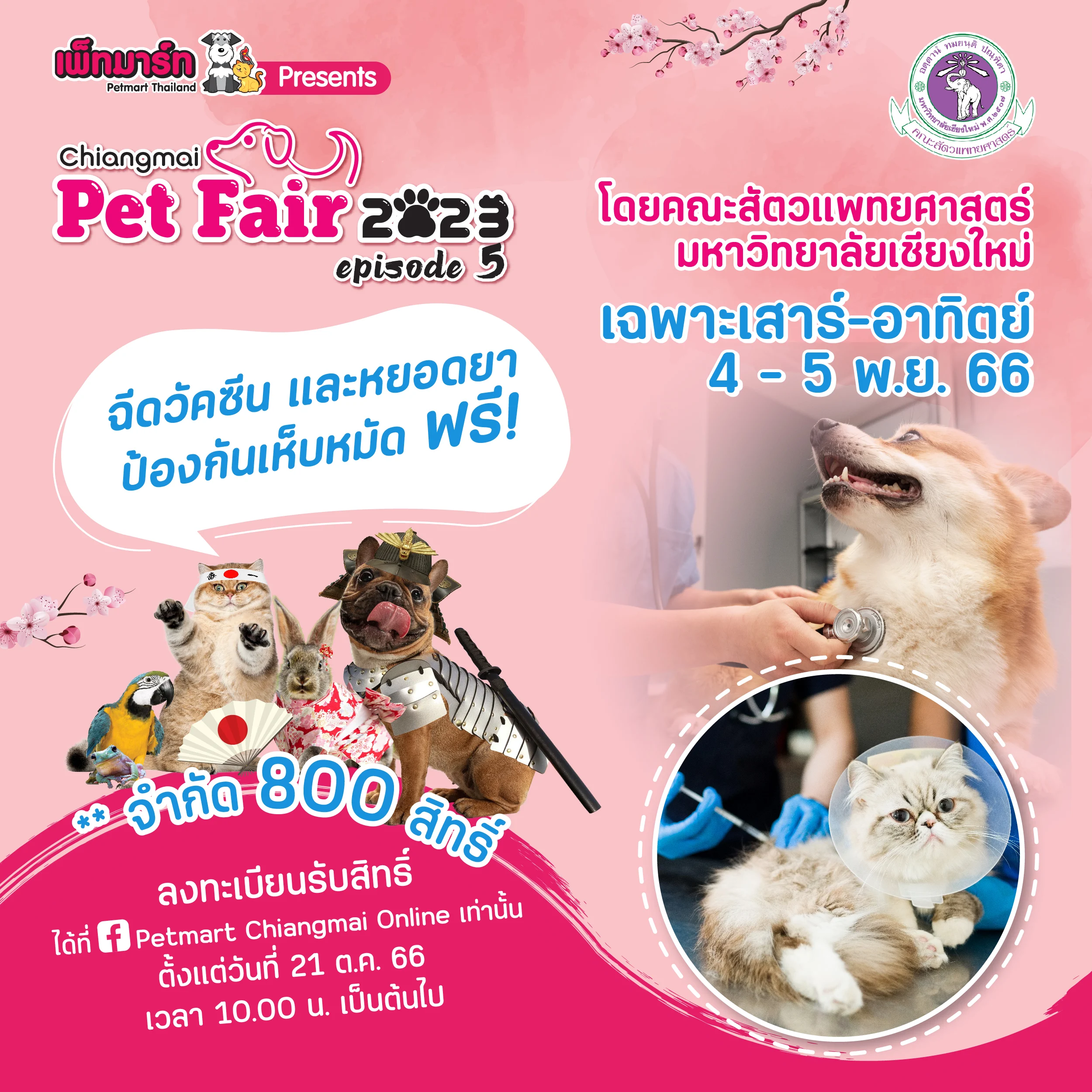 Chiangmai Pet Fair 2023
