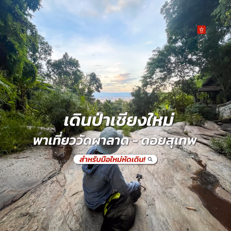เดินป่าเชียงใหม่