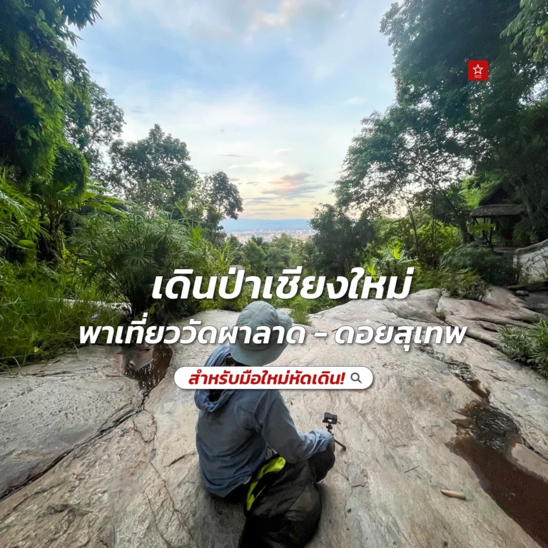 เดินป่าเชียงใหม่