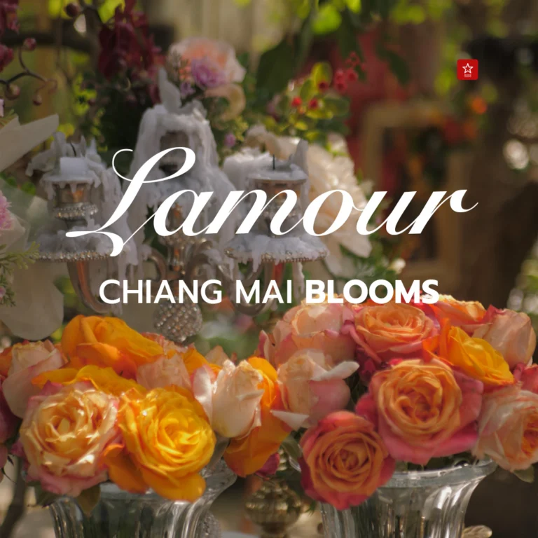 Lamour Cafe