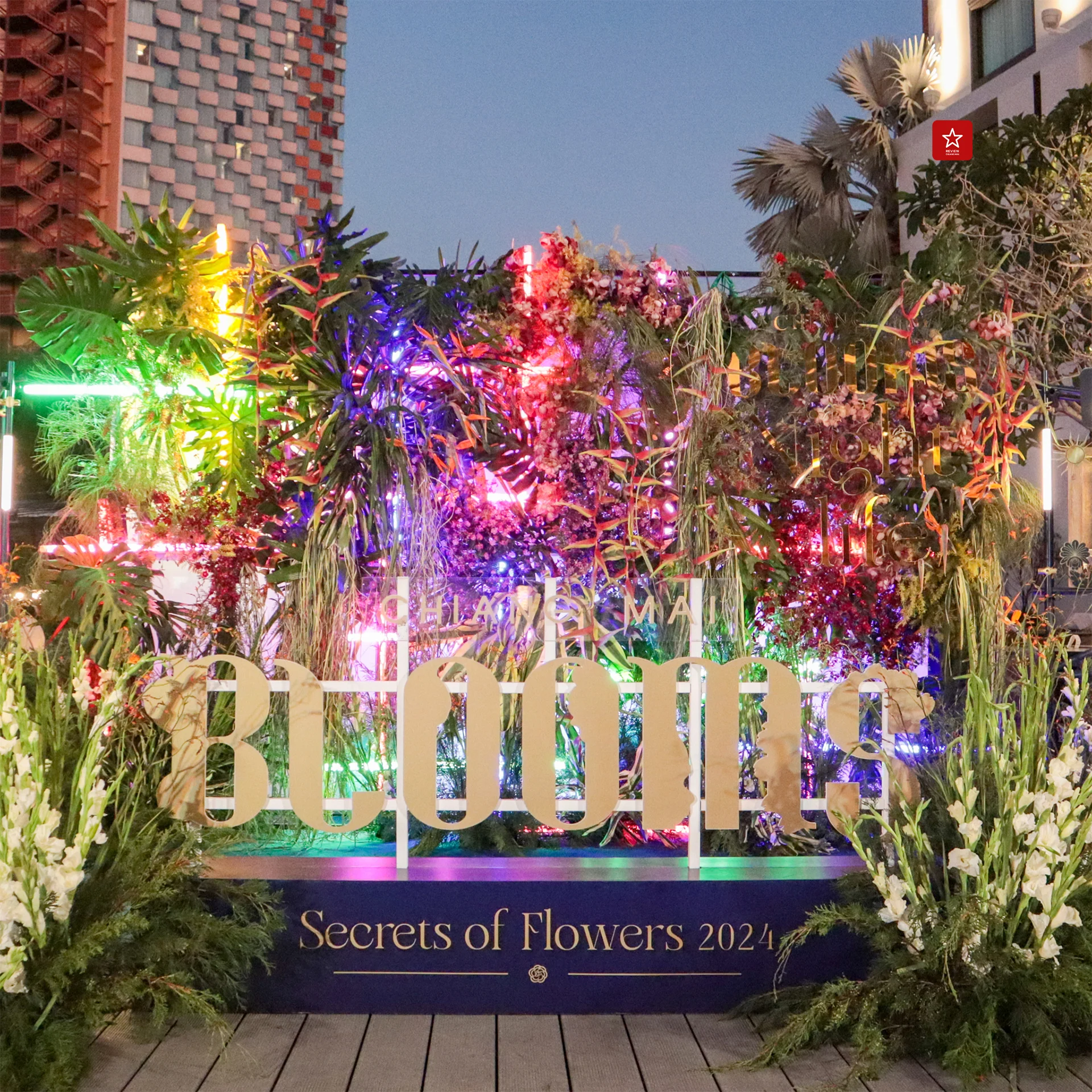 Chiang Mai Blooms Nightlife