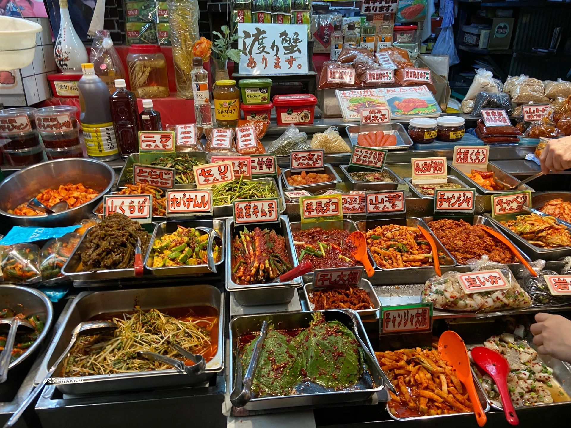 4-Authentic Kimchi TOYODA Shouten