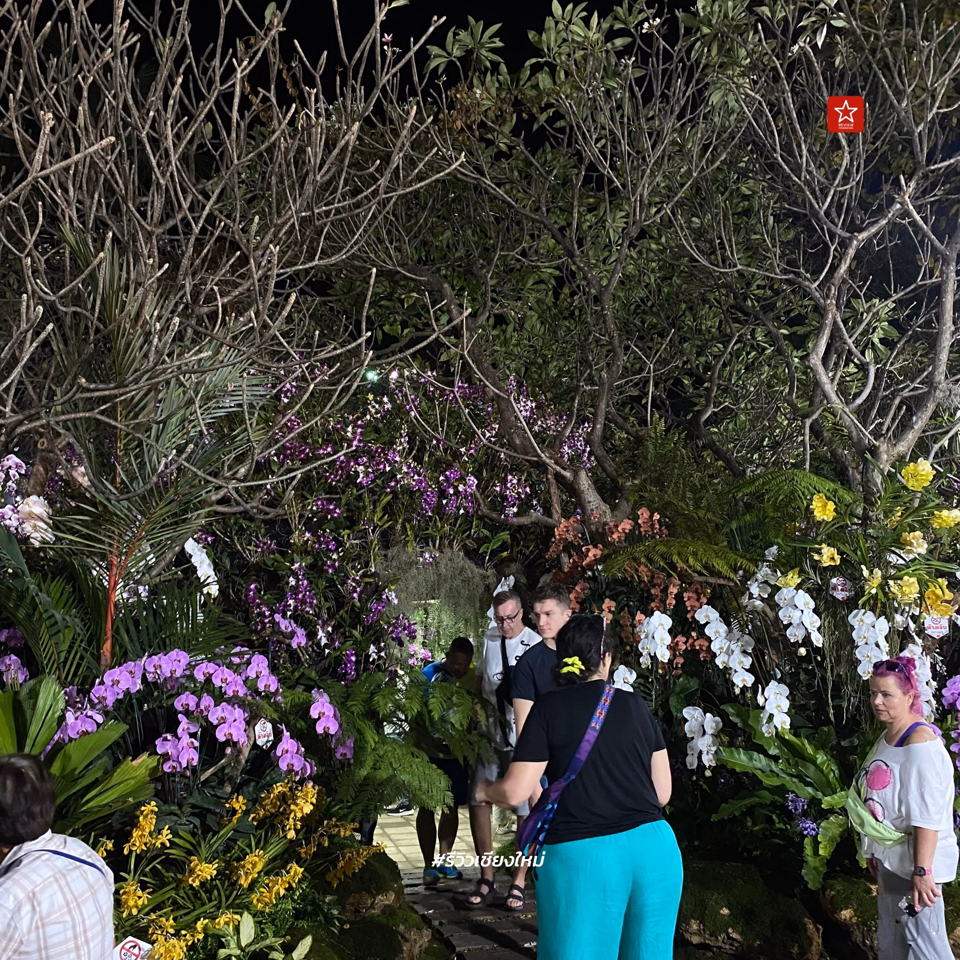 Chiang Mai Flower Festival 2024