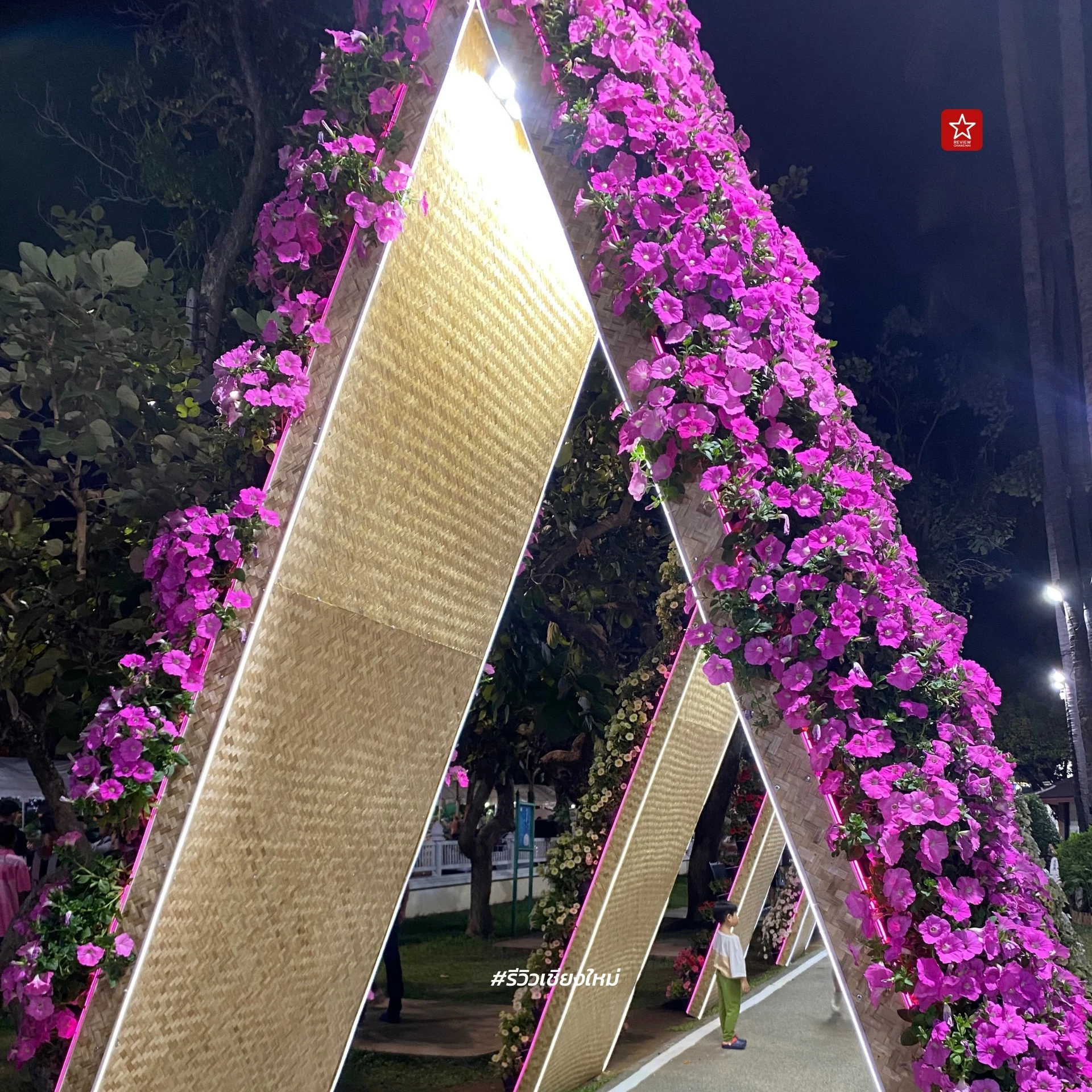 Chiang Mai Flower Festival 2024