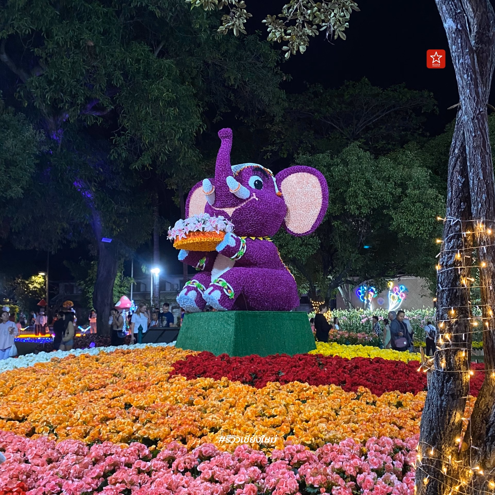 Chiang Mai Flower Festival 2024