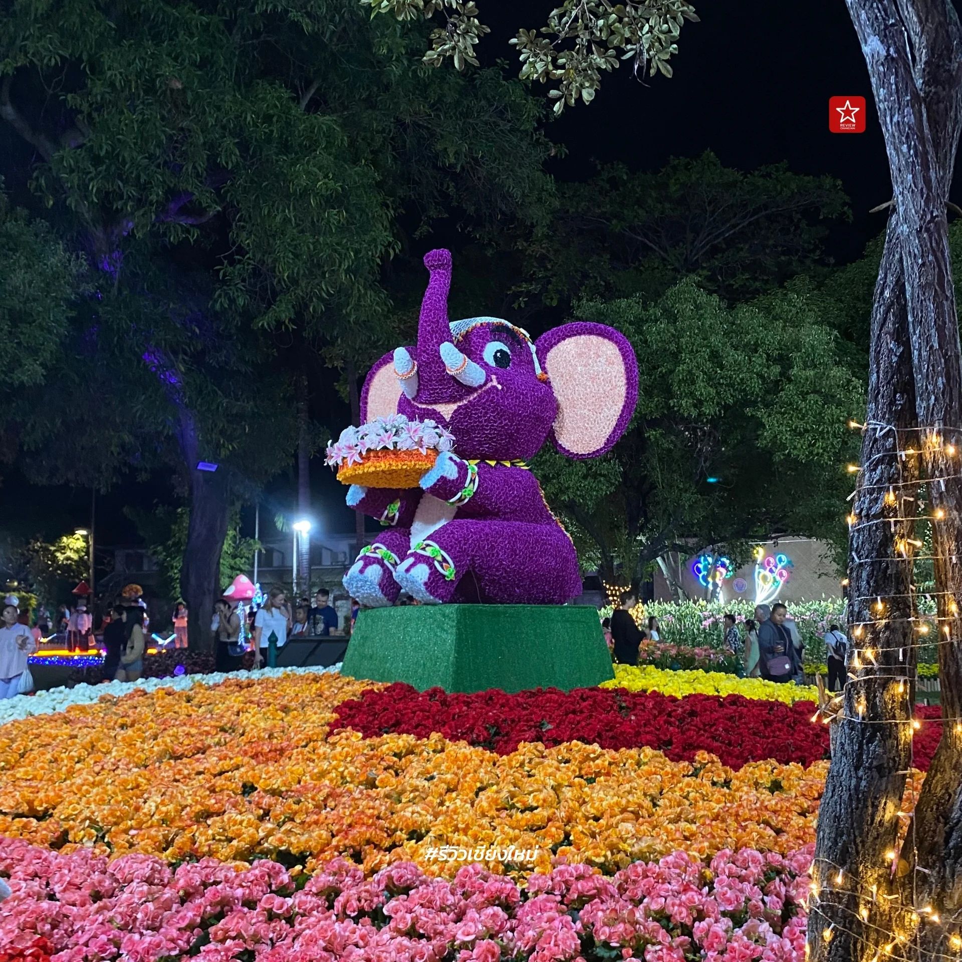 Chiang Mai Flower Festival 2024