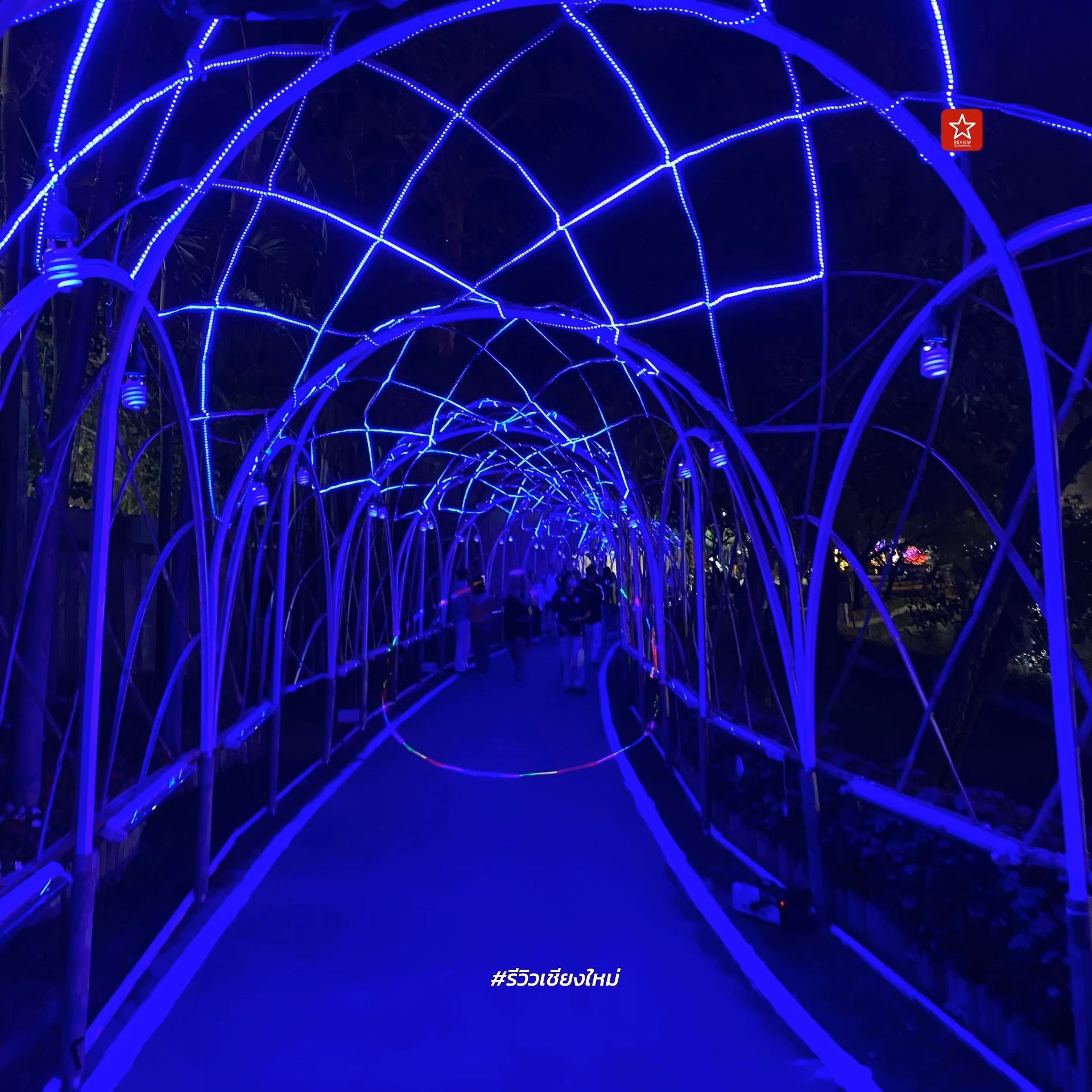 Chiang Mai Flower Festival 2024