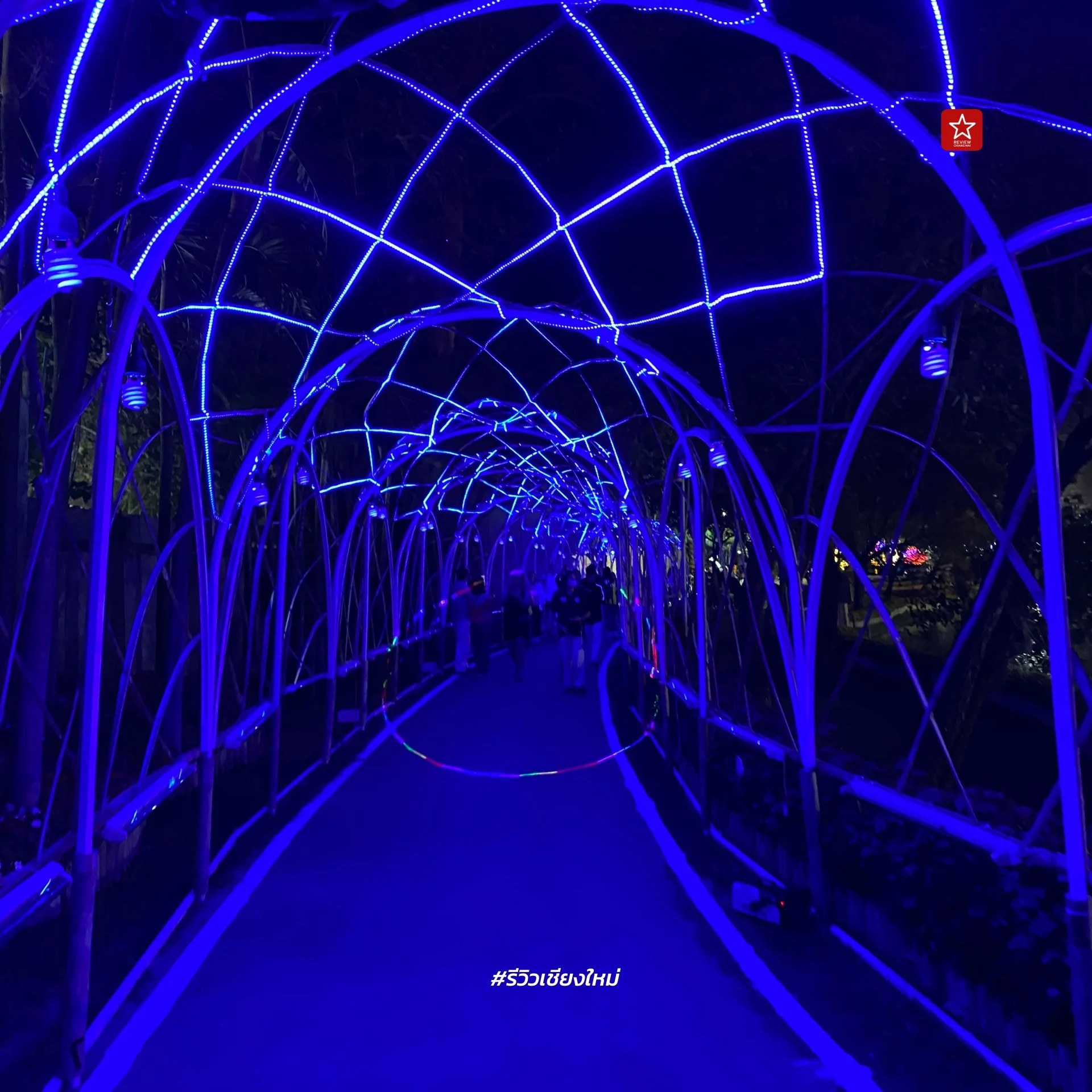 Chiang Mai Flower Festival 2024