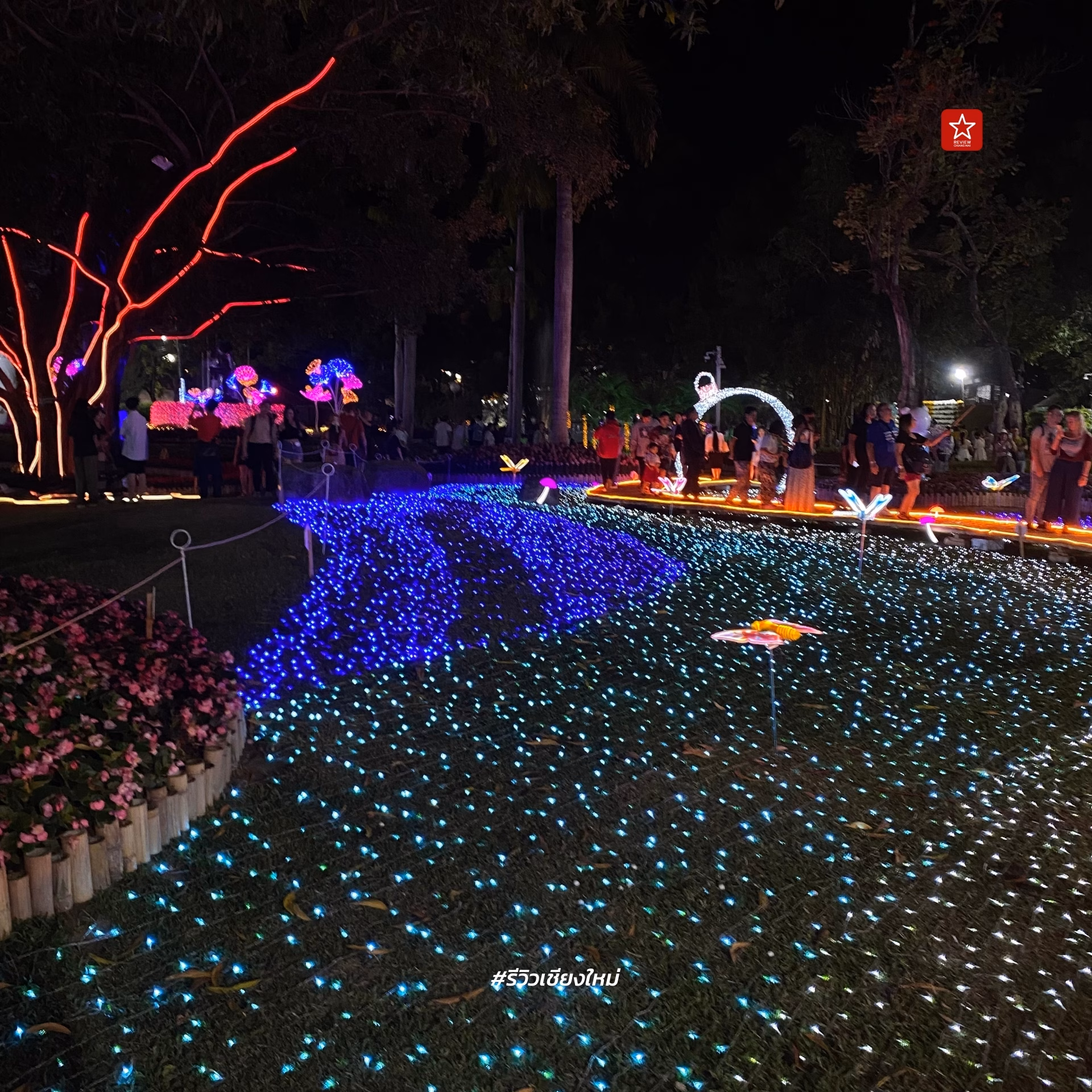 Chiang Mai Flower Festival 2024