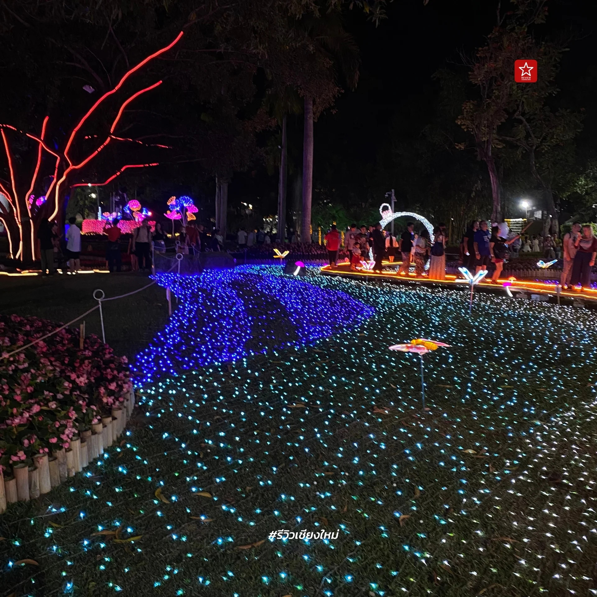 Chiang Mai Flower Festival 2024