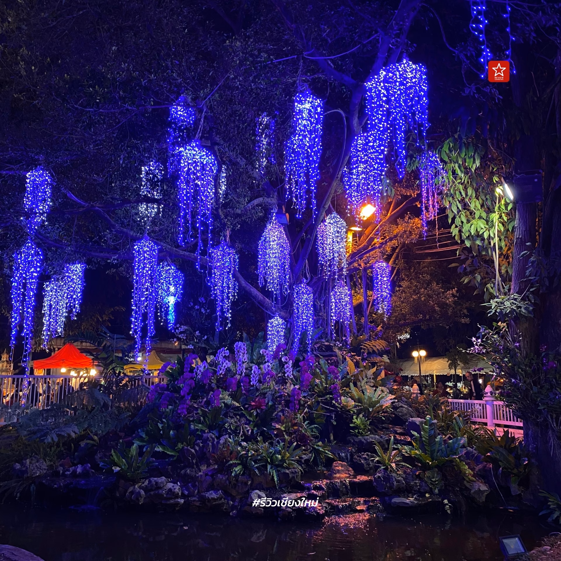 Chiang Mai Flower Festival 2024