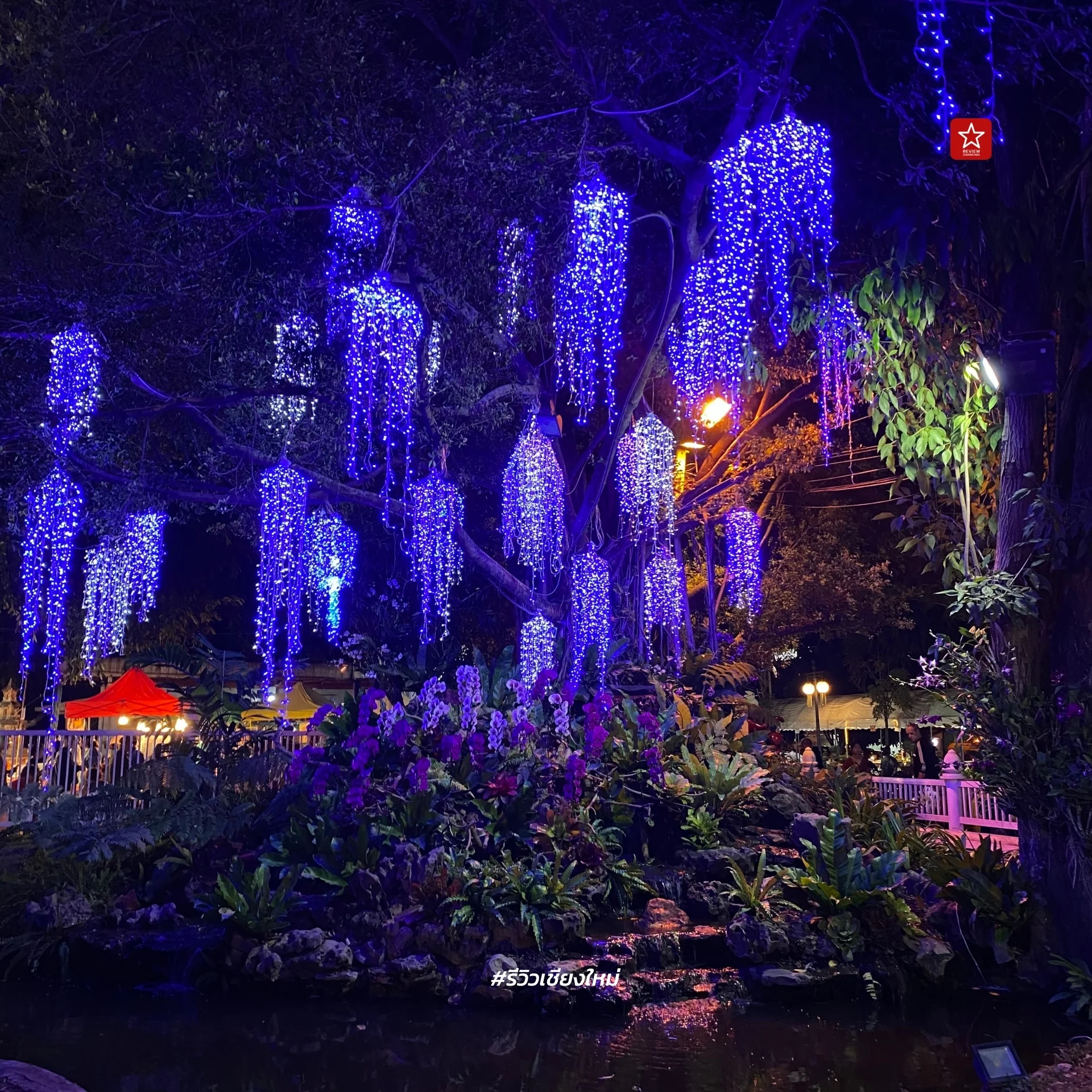Chiang Mai Flower Festival 2024