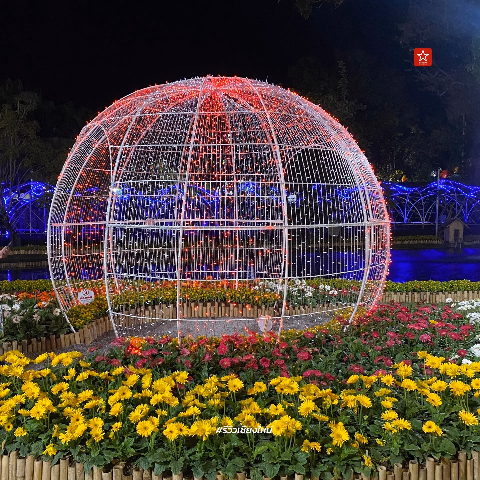 Chiang Mai Flower Festival 2024