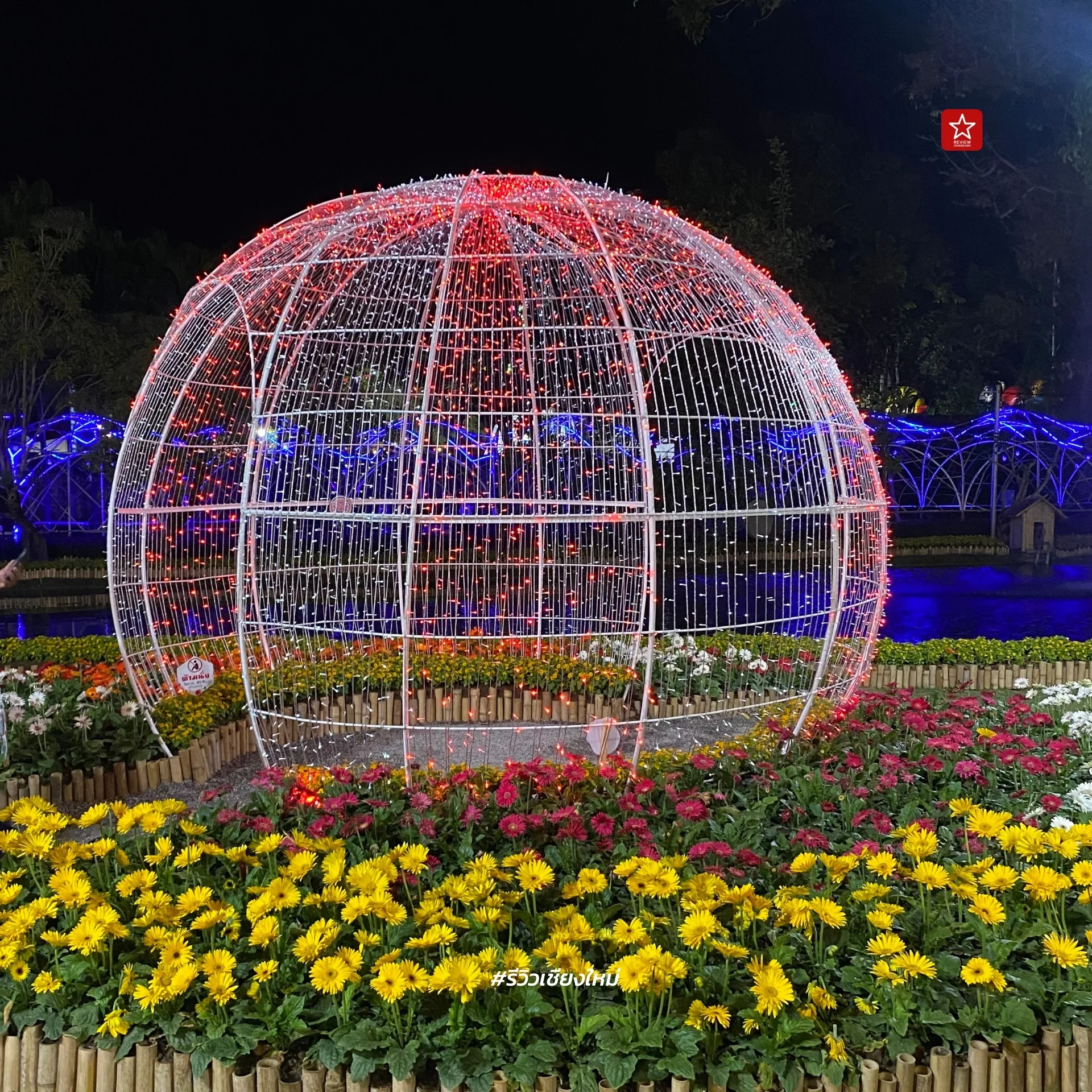 Chiang Mai Flower Festival 2024