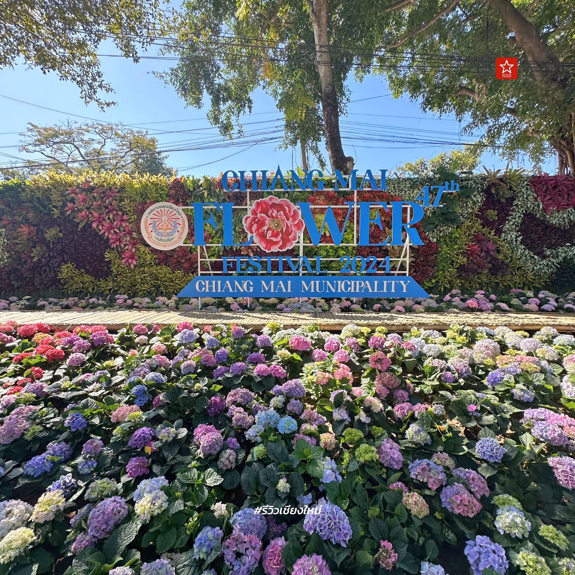 Chiang Mai Flower Festival 2024