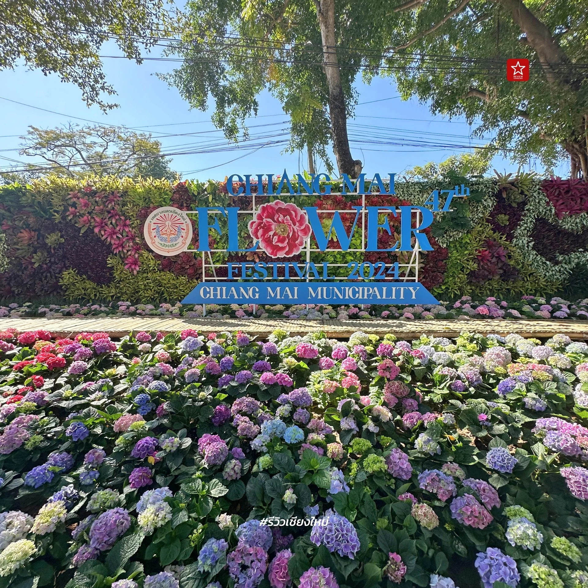 Chiang Mai Flower Festival 2024