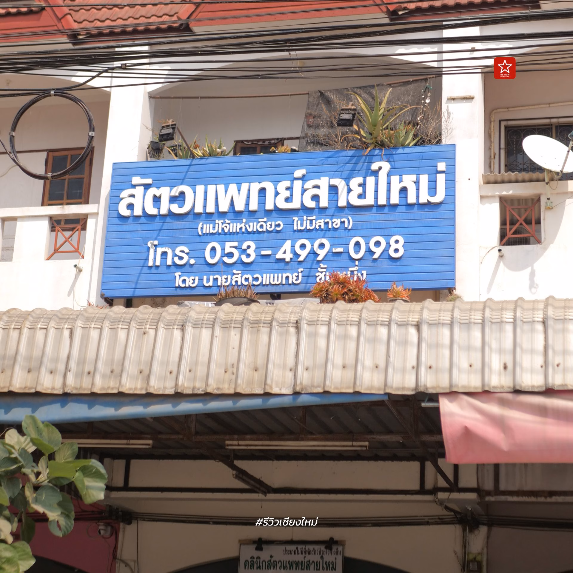 สัตวแพทย์สายใหม่