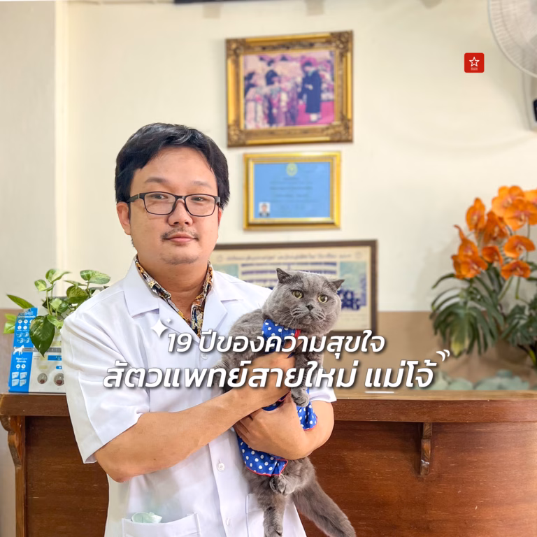 คลินิกหมาแมวเชียงใหม่