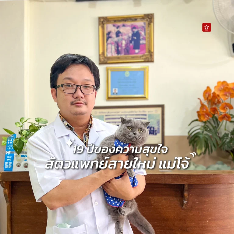 คลินิกหมาแมวเชียงใหม่