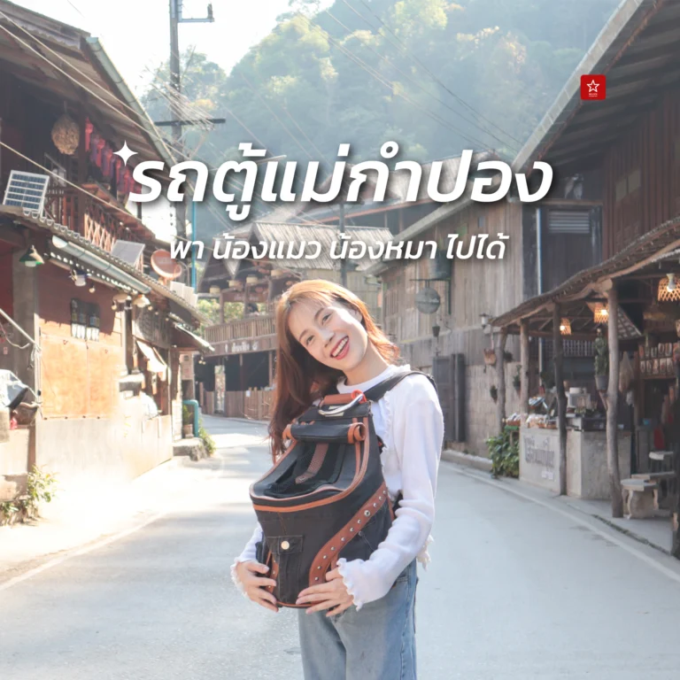 รถตู้แม่กำปองน้ำพุร้อนสันกำแพง