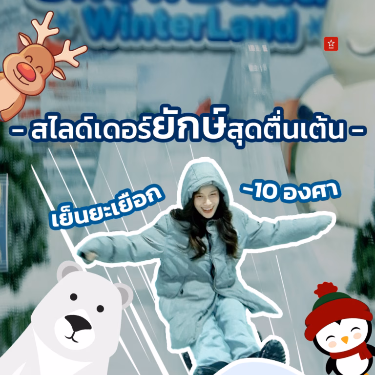 SnowBuddy winterland