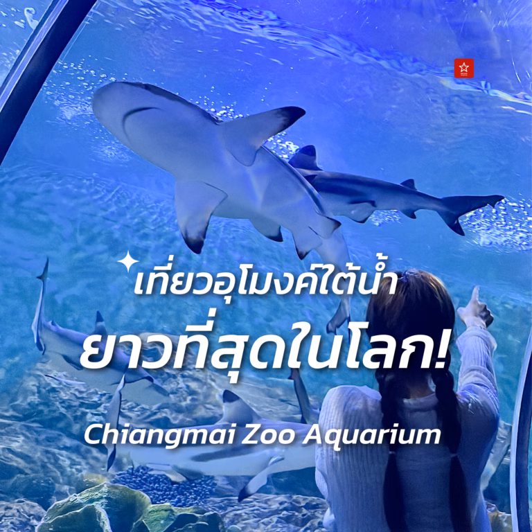 Chiangmai Zoo Aquarium