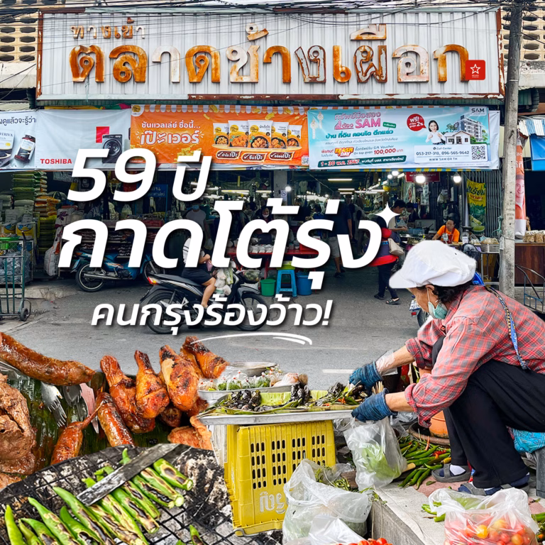ตลาดช้างเผือก