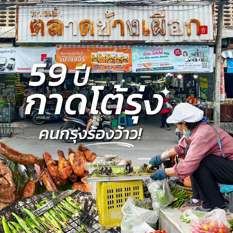 ตลาดช้างเผือก