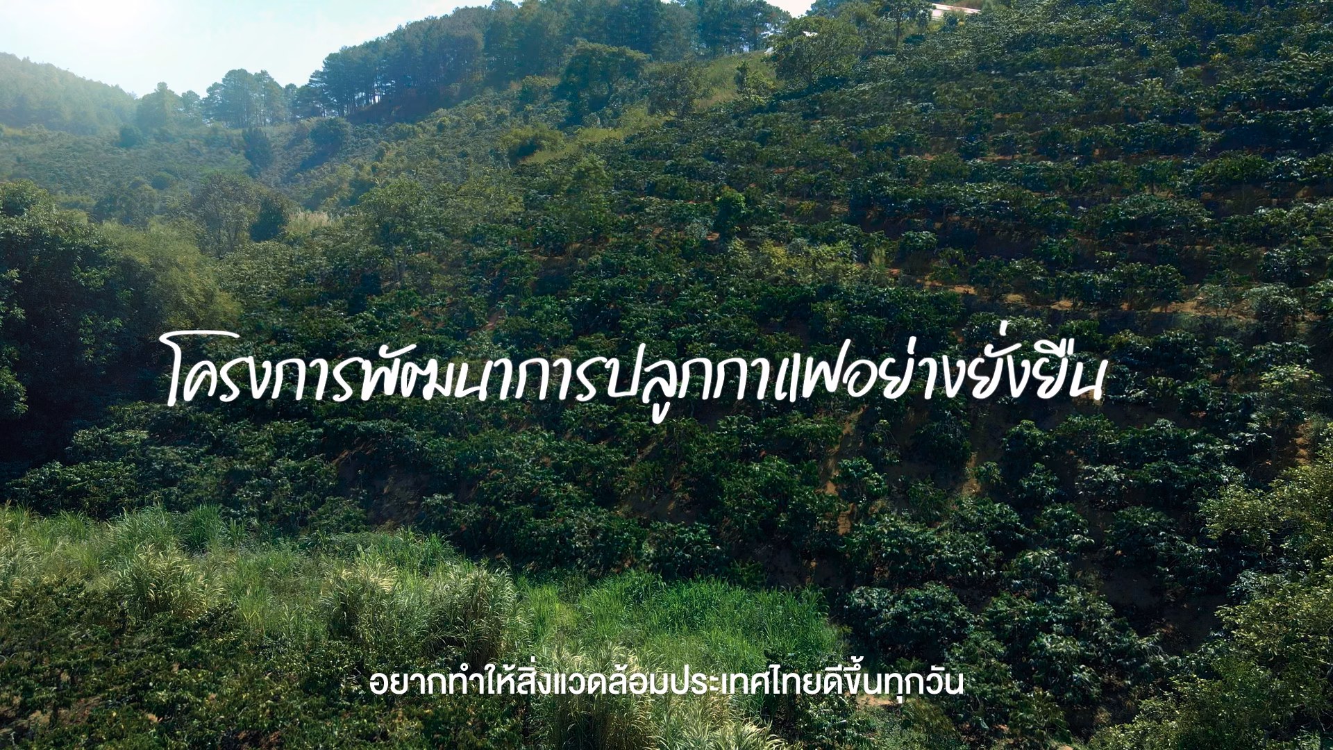 โออาร์
