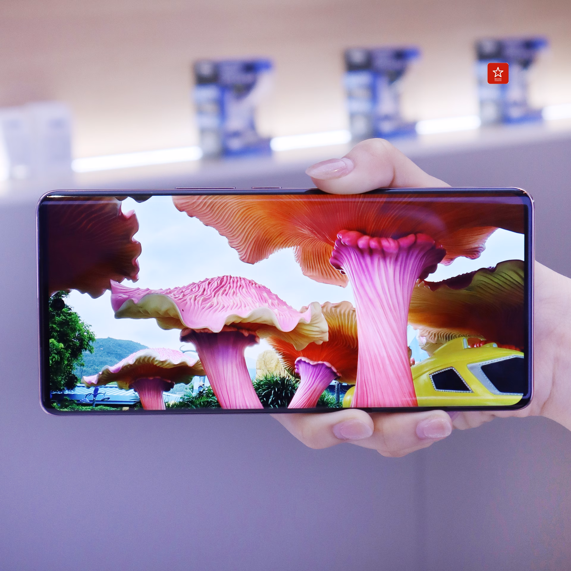 vivo