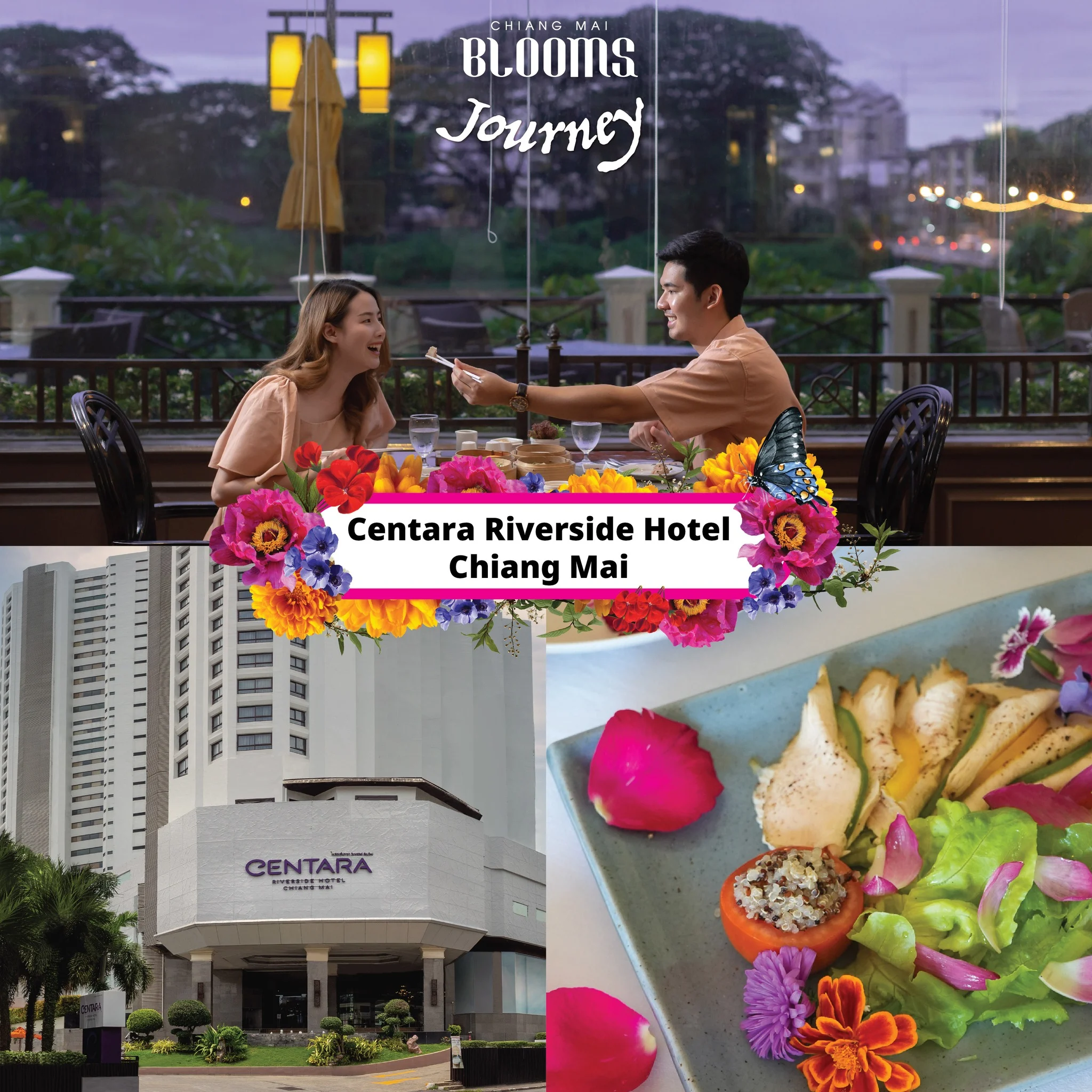Chiang Mai Blooms Journey ดีลเด็ดที่พัก โรงแรมเชียงใหม่