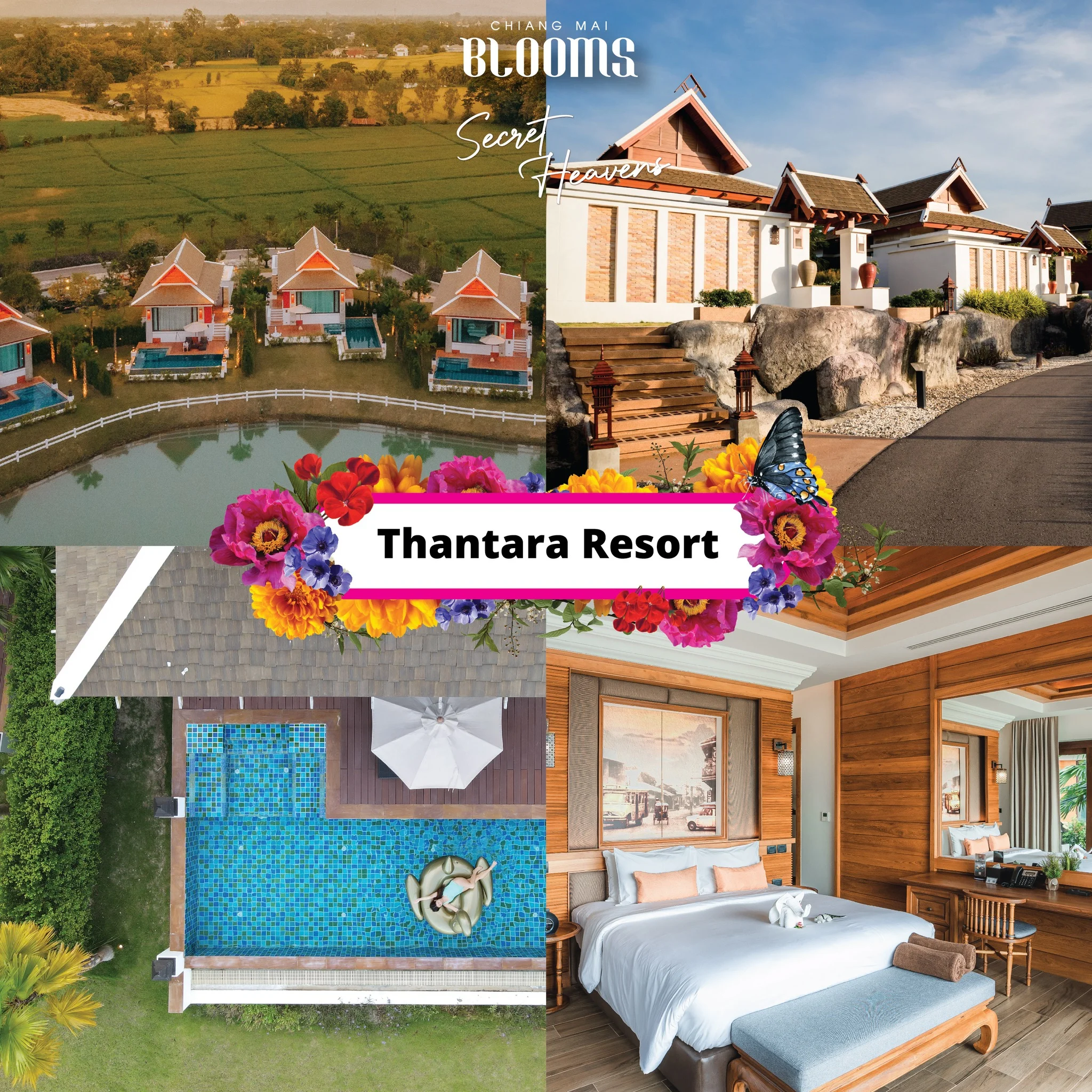 Chiang Mai Blooms Journey ดีลเด็ดที่พัก โรงแรมเชียงใหม่