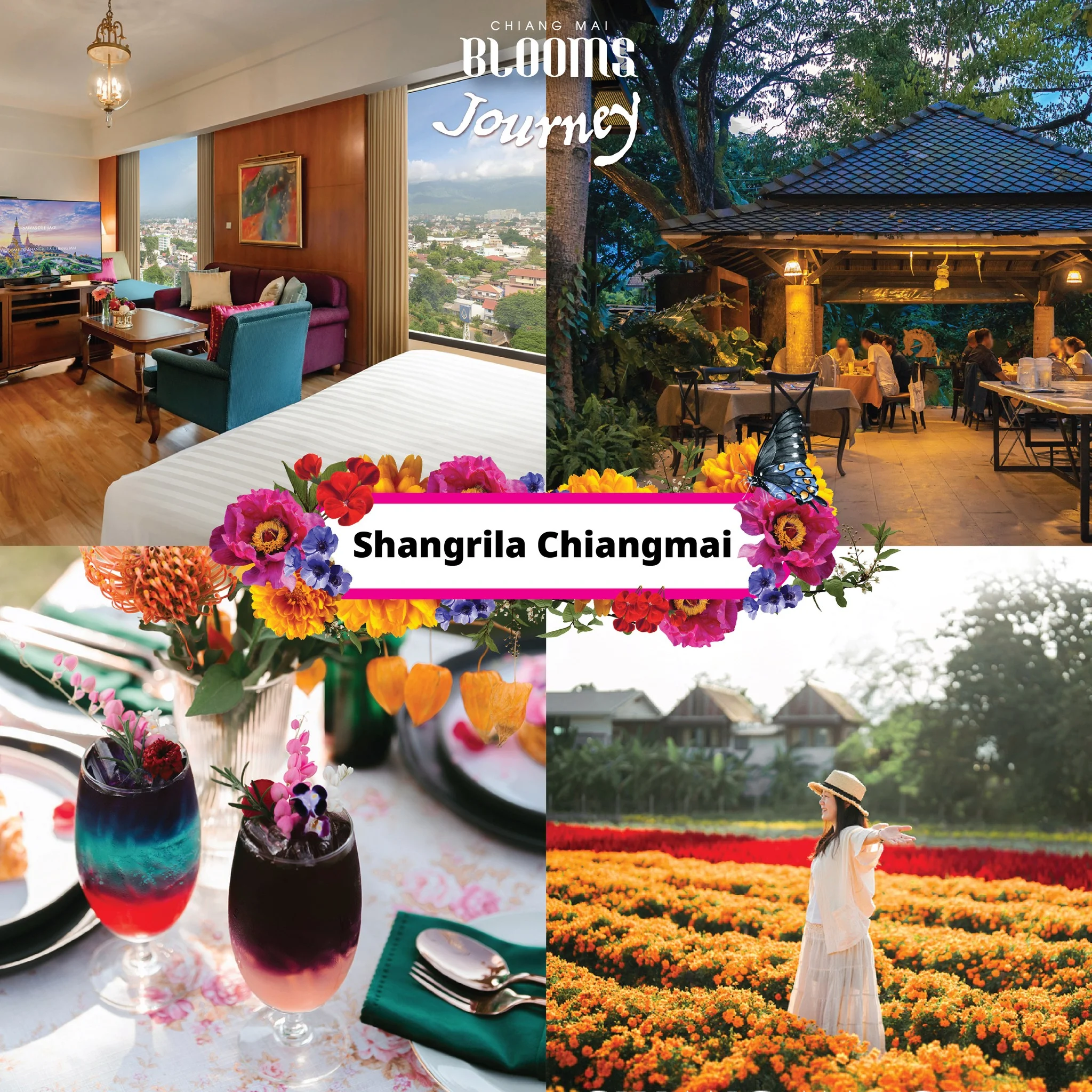 Chiang Mai Blooms Journey ดีลเด็ดที่พัก โรงแรมเชียงใหม่