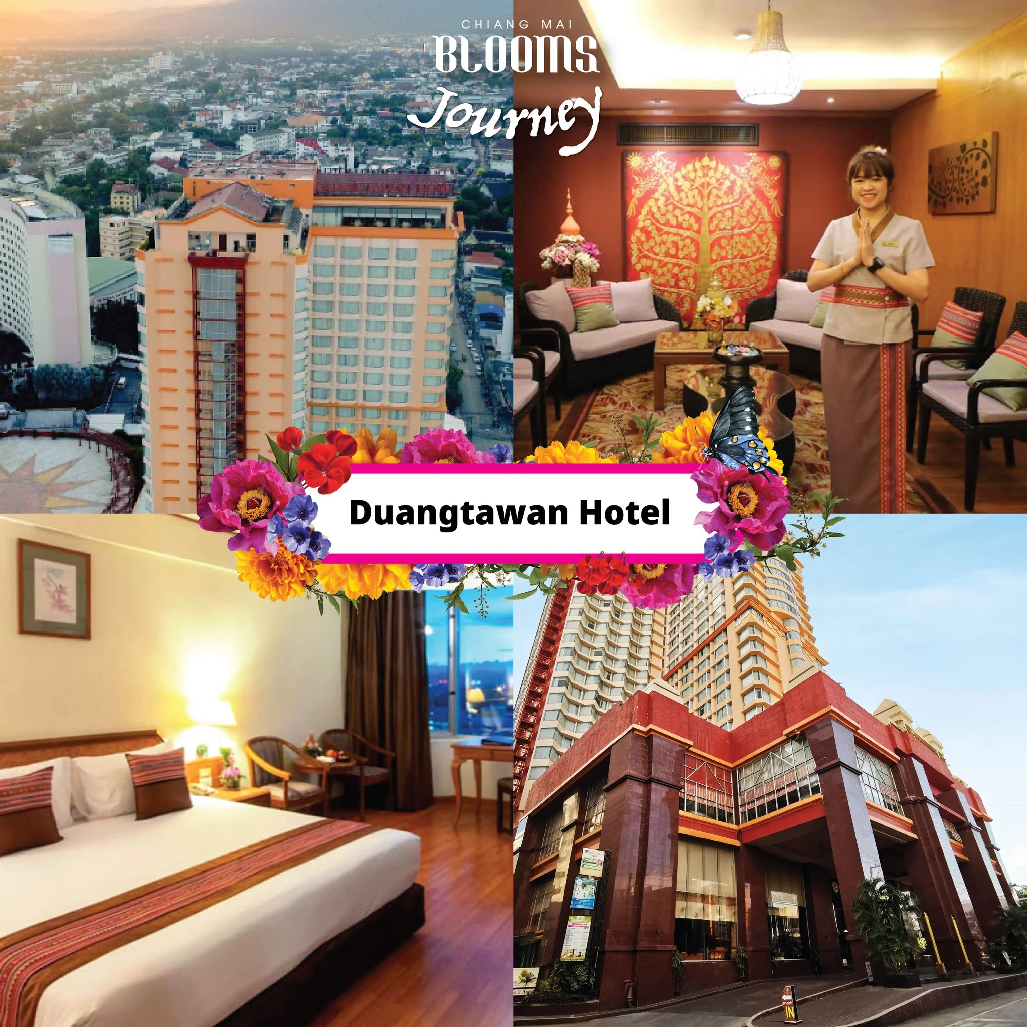 Chiang Mai Blooms Journey ดีลเด็ดที่พัก โรงแรมเชียงใหม่