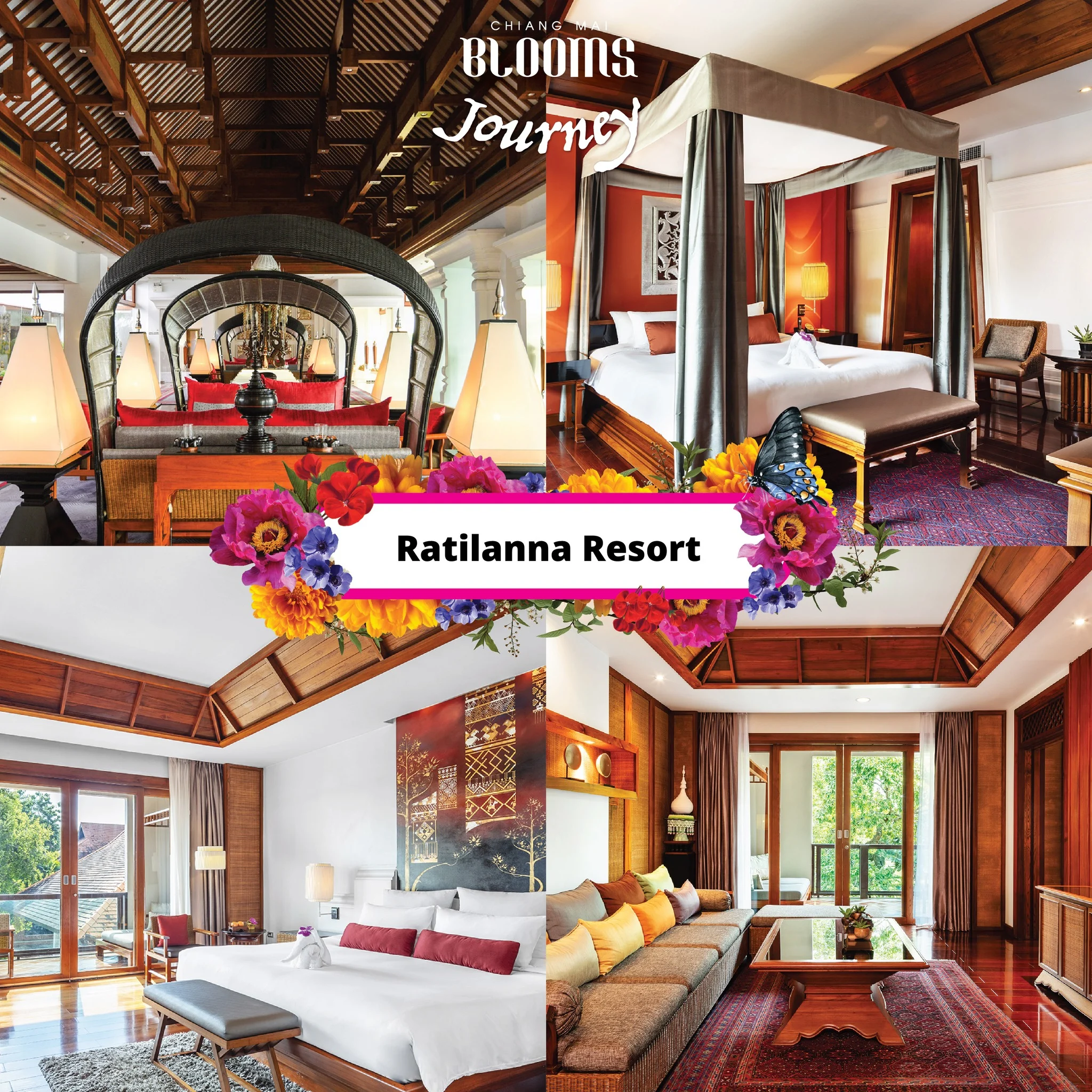 Chiang Mai Blooms Journey ดีลเด็ดที่พัก โรงแรมเชียงใหม่